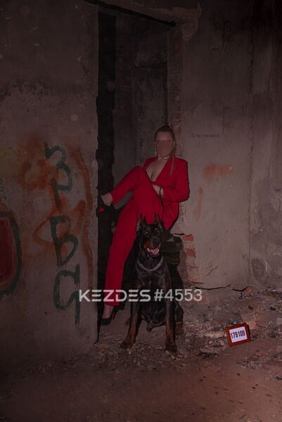 До 29 октября,Whats есть приват канал в тг Караганда фото — 101